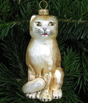 Beige/Gylden kat